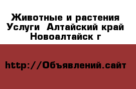 Животные и растения Услуги. Алтайский край,Новоалтайск г.